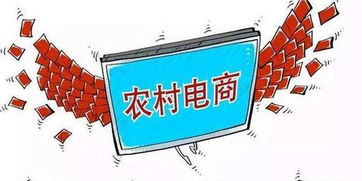 涡阳县 电商赋能+产业协同，助力农产品与电器辅件“双引擎”销售